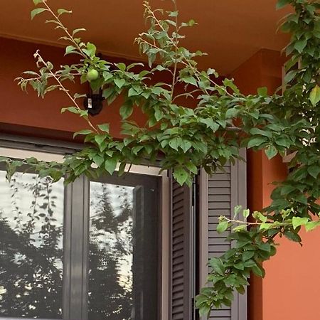 Lefkas Apartment Kalligoni المظهر الخارجي الصورة